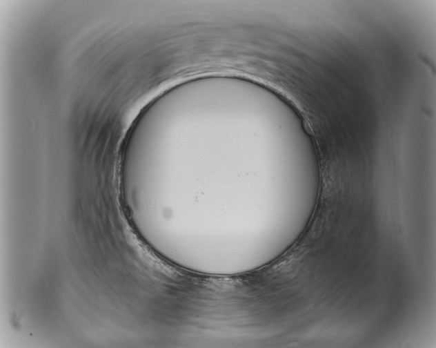 X0000100351526200806201528