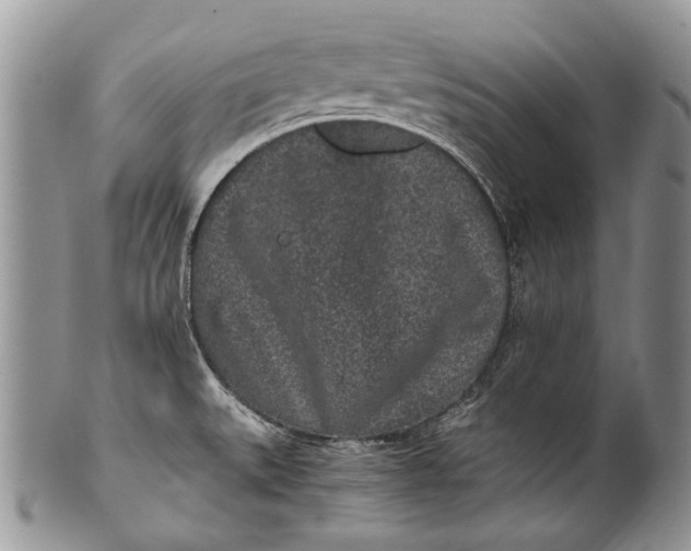 X0000100351527200806201528