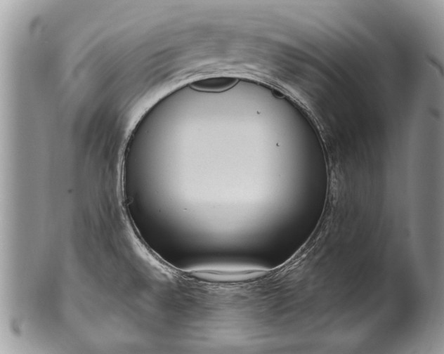X0000100351528200806201528