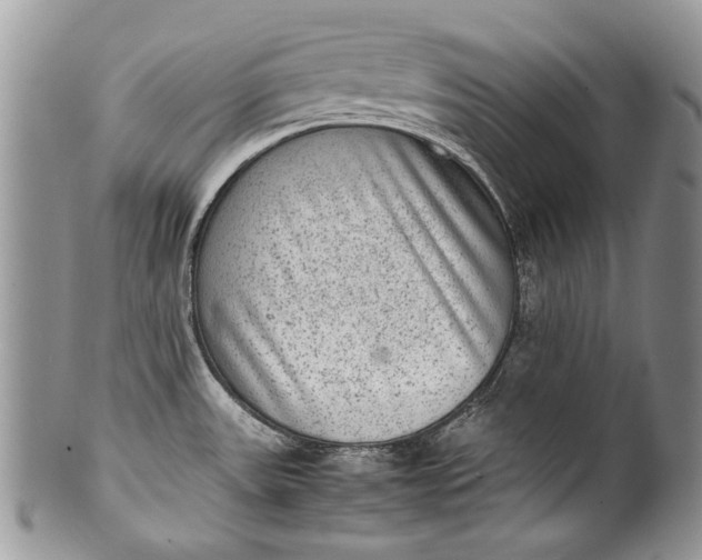 X0000100351531200806201529