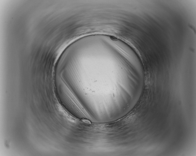 X0000100351532200806201529