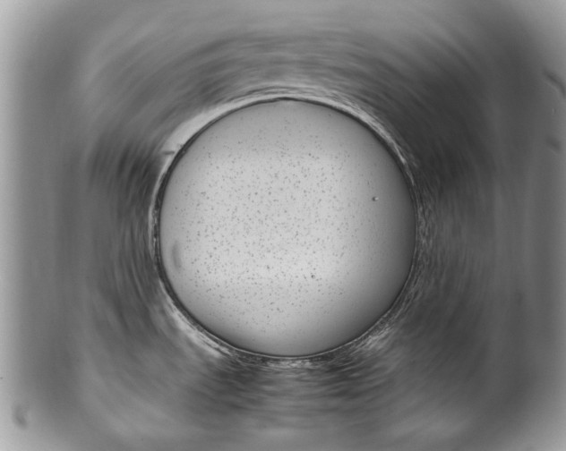 X0000100351535200806201529