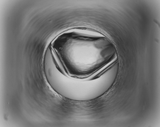 X0000100351536200806201529