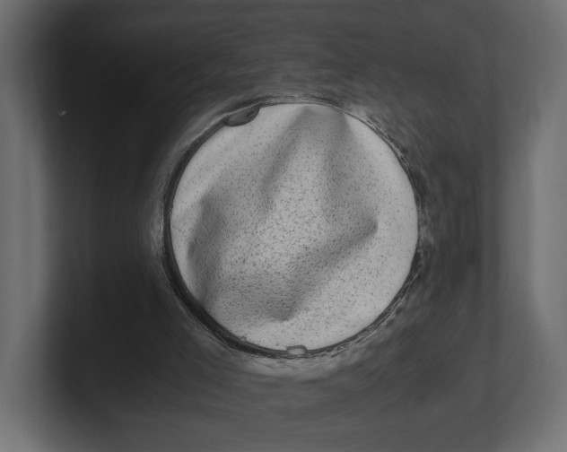 X0000100350005200806271412