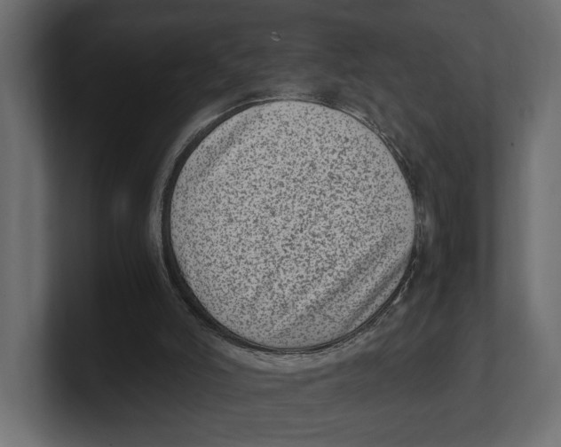 X0000100350006200806271412