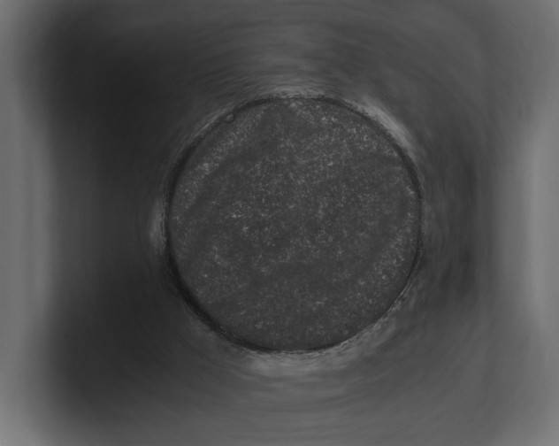 X0000100350009200806271412