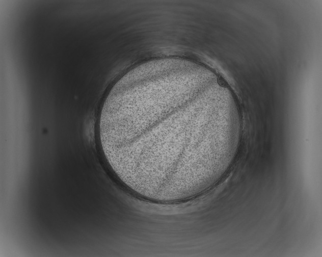 X0000100350010200806271412