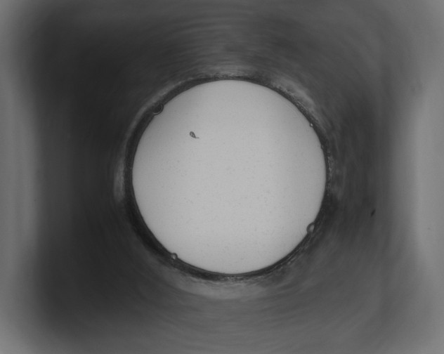 X0000100350012200806271412