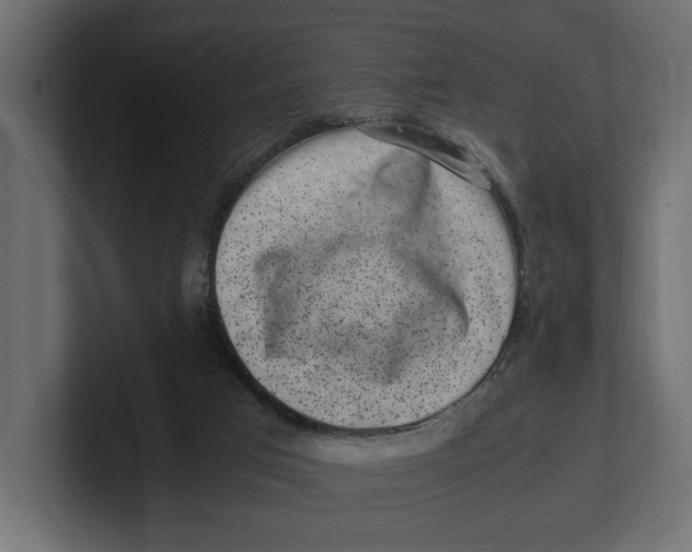 X0000100350017200806271412