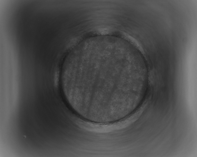 X0000100350018200806271412