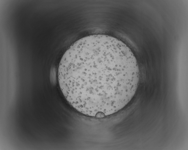 X0000100350022200806271412