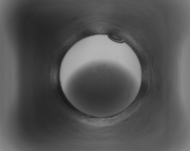 X0000100350023200806271412