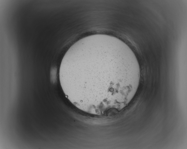 X0000100350024200806271412