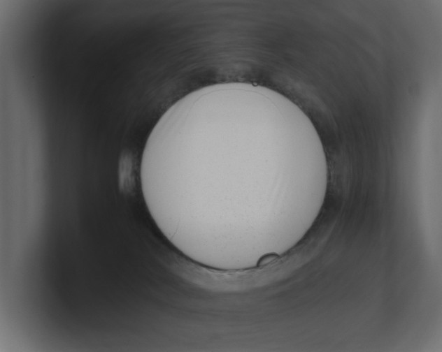 X0000100350038200806271411