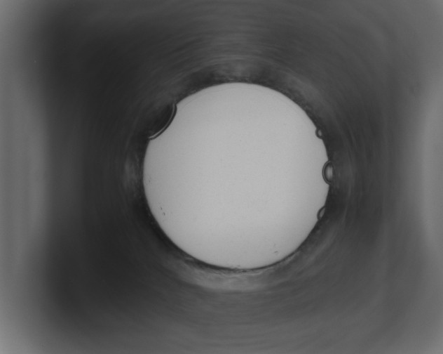 X0000100350040200806271411