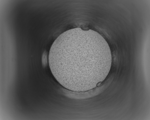 X0000100350042200806271411