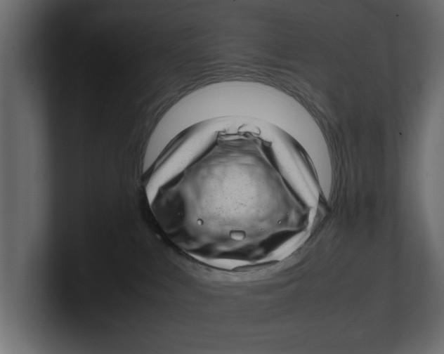 X0000100350043200806271411