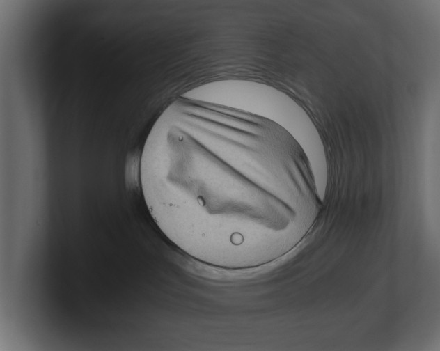 X0000100350047200806271411