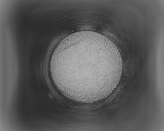 X0000100350049200806271411