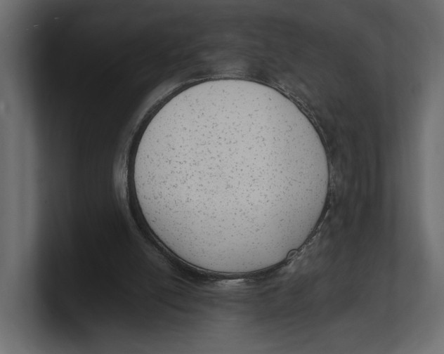 X0000100350054200806271411