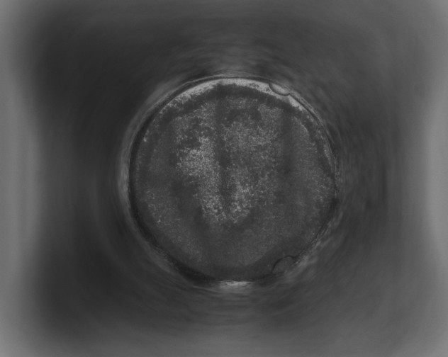 X0000100350055200806271411