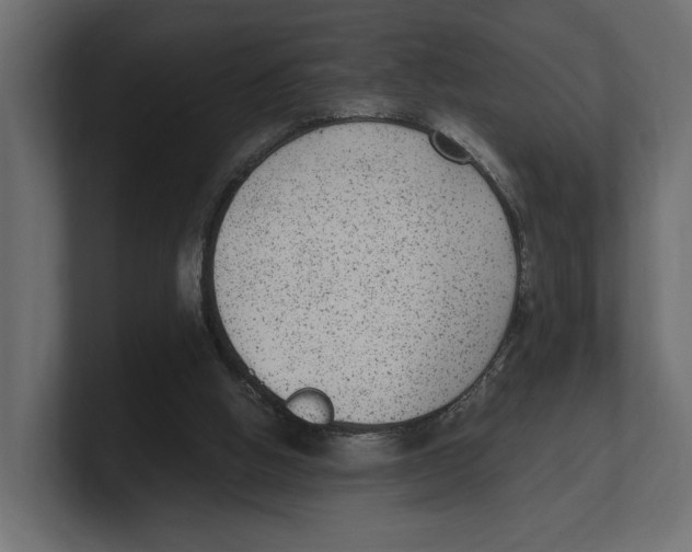 X0000100350058200806271411