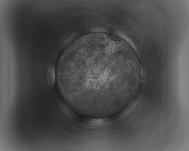 X0000100350061200806271411