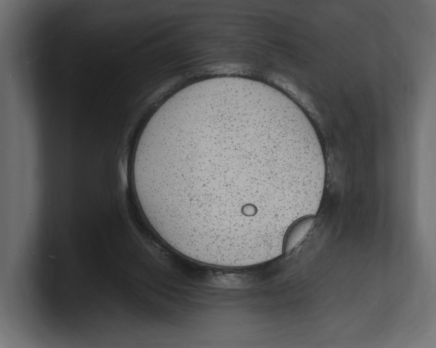 X0000100350062200806271411