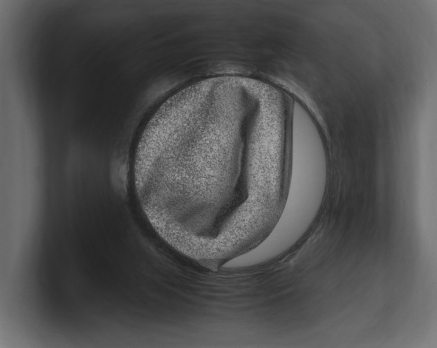 X0000100350063200806271411