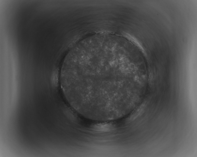 X0000100350065200806271411