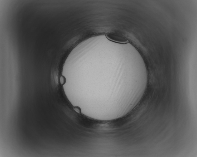 X0000100350068200806271411