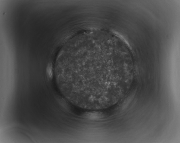 X0000100350069200806271411