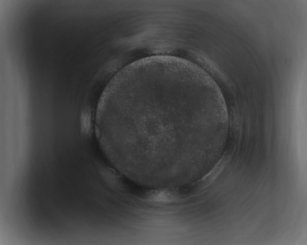 X0000100350074200806271411