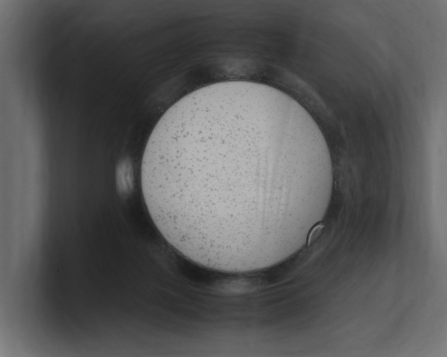 X0000100350075200806271411