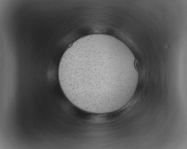 X0000100350078200806271411