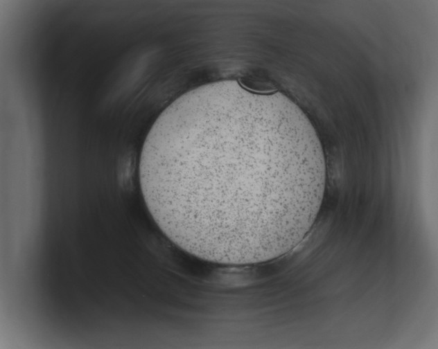 X0000100350082200806271411