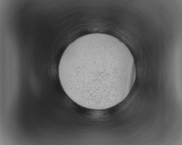 X0000100350085200806271411