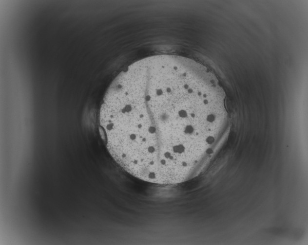 X0000100350093200806271411