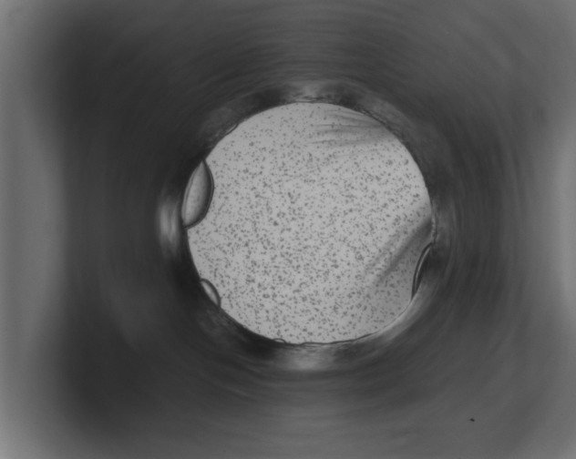 X0000100350094200806271411