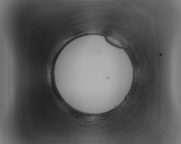 X0000100350098200806271411