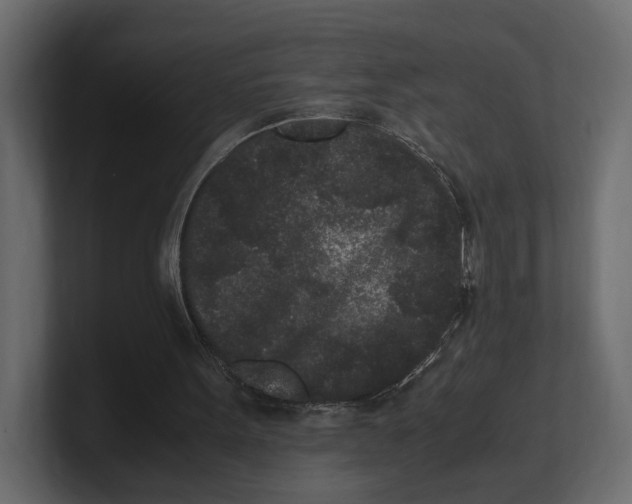 X0000100350099200806271411