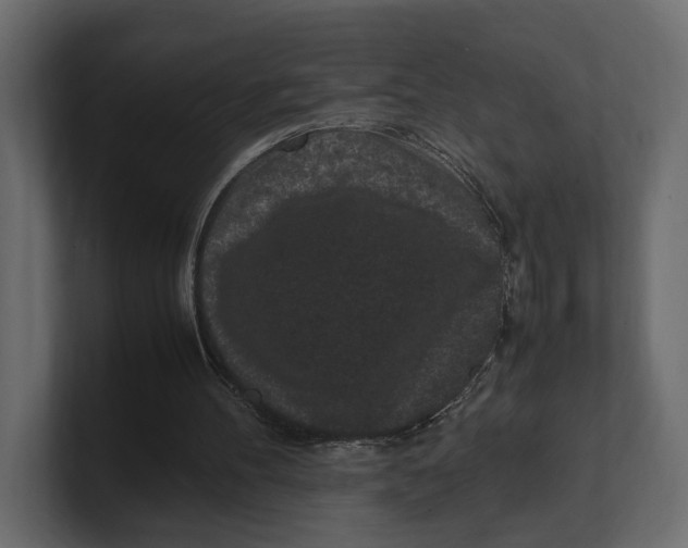 X0000100350100200806271411