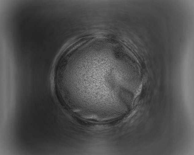 X0000100350101200806271411