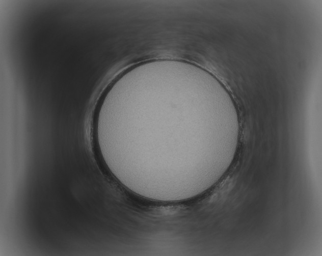 X0000100350103200806271411