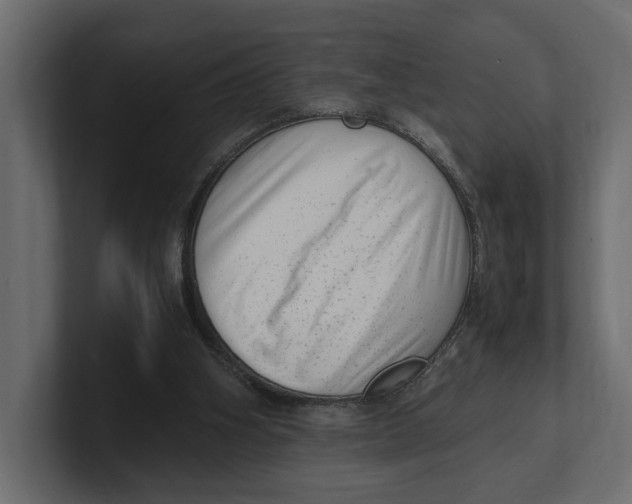 X0000100350106200806271411