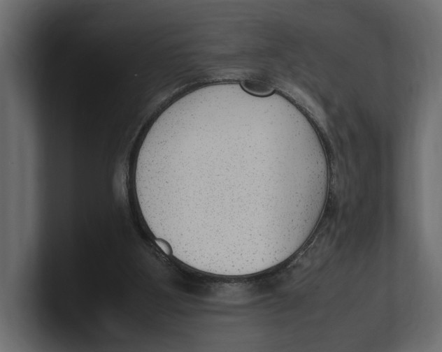 X0000100350107200806271410