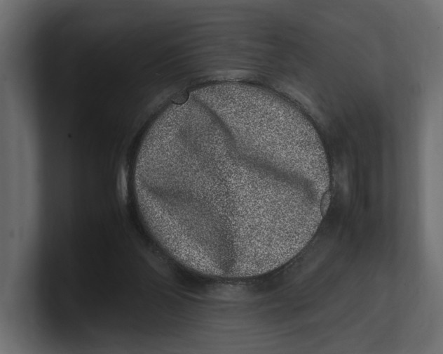 X0000100350110200806271410