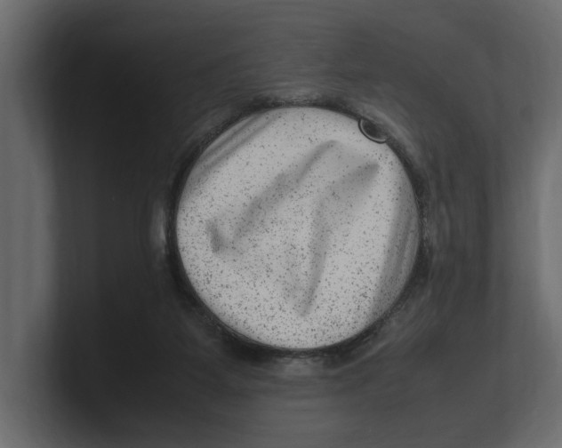 X0000100350115200806271410