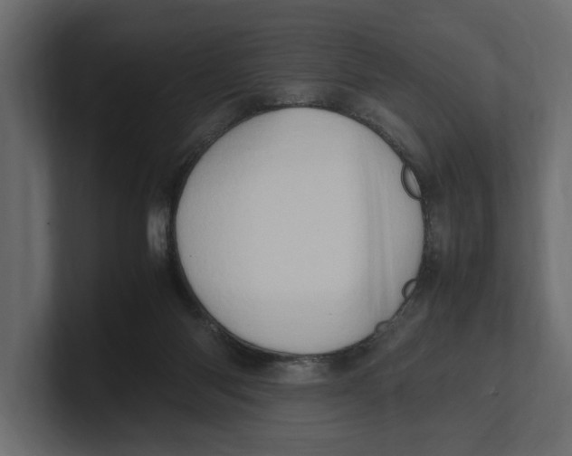 X0000100350118200806271410