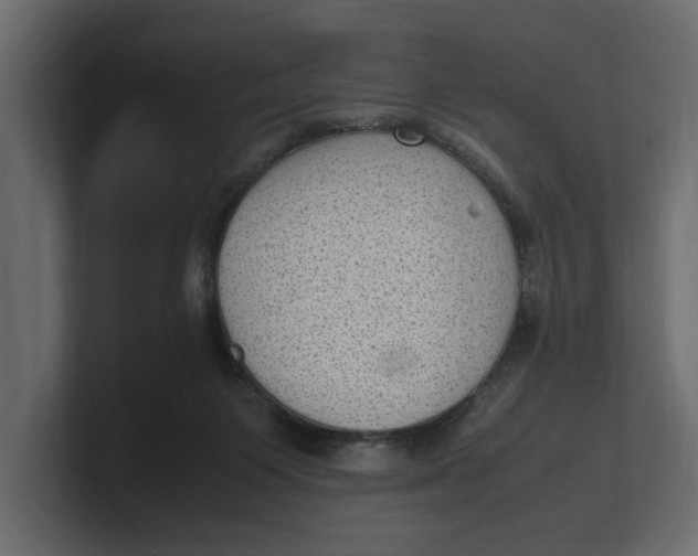 X0000100350119200806271410